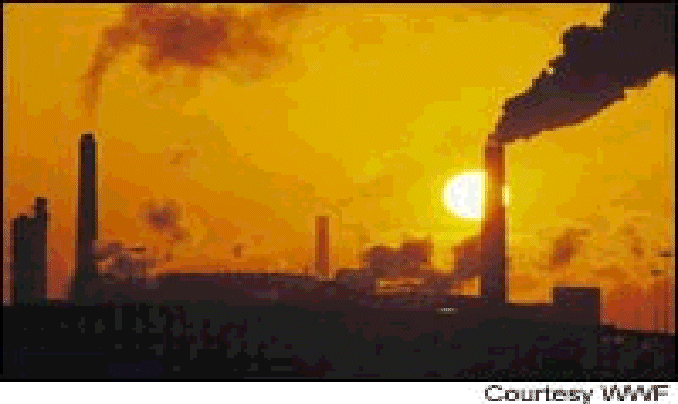 pollution.gif